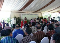 Click to Actual Size !